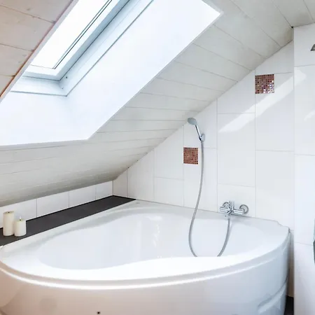 Apartment Firstblick